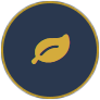 icon2.png